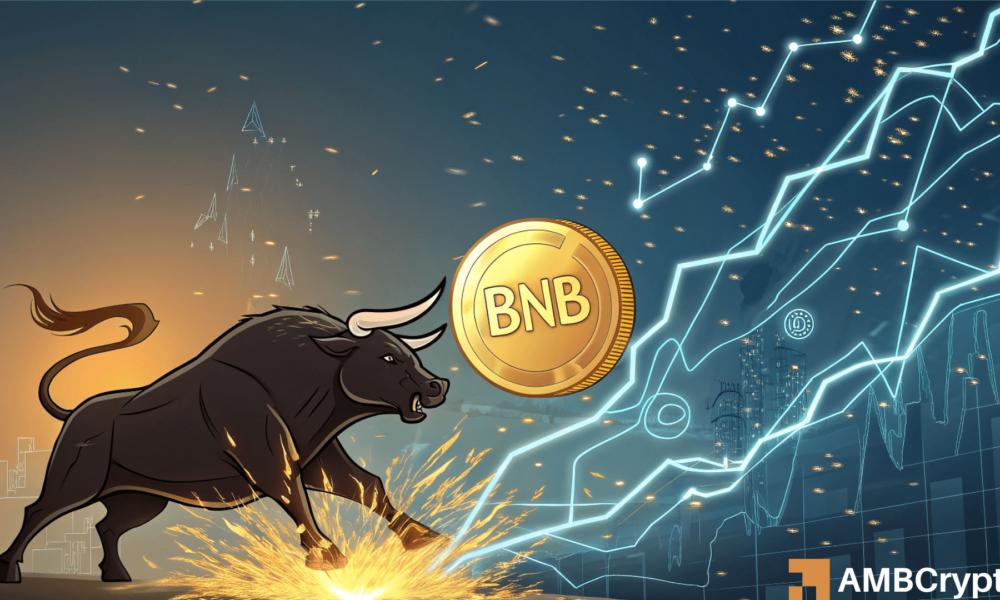 Binance Coin: Mapping the Path of BNB Towards the 0 Price Target
