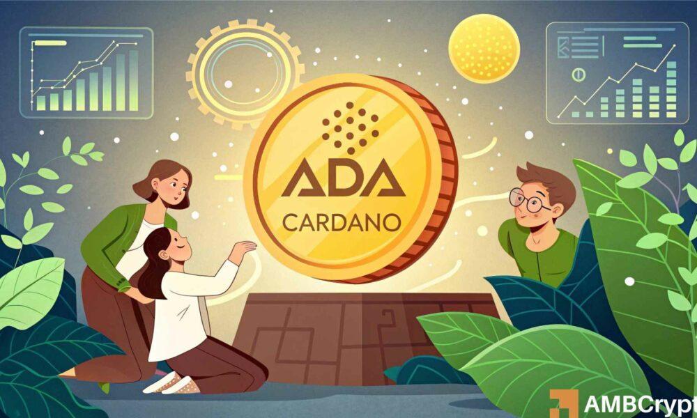 Cardano价格预测 - 如果这种情况发生……